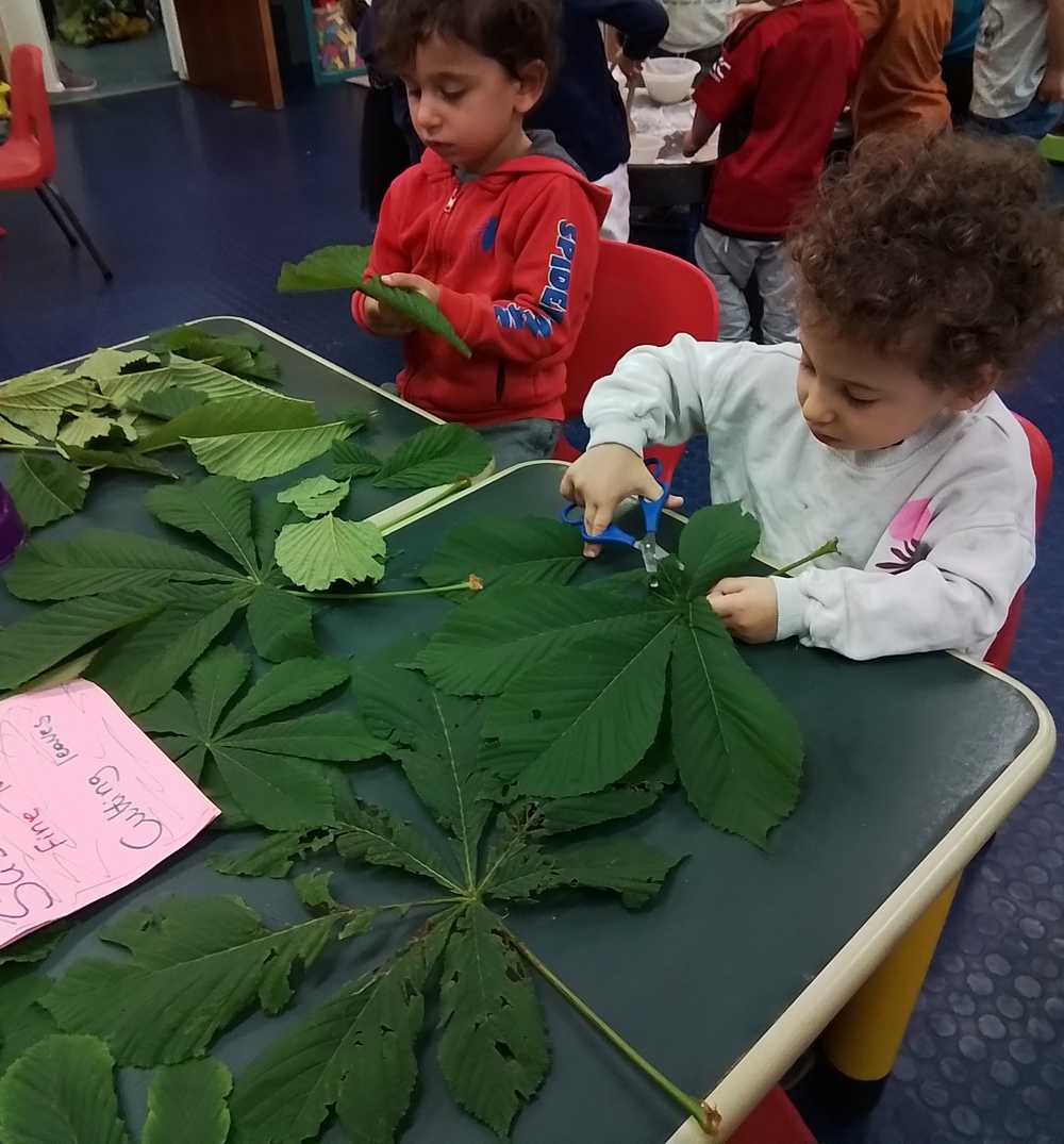 Leaf cutting - great scissor work!